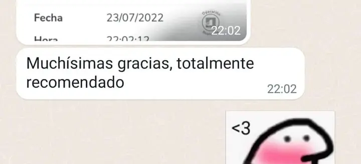 Mensaje de WhatsApp de una clienta que recomienda la animación, junto al pie del mensaje